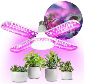 LED Żarówka do wzrostu roślin VITABLOOM E27/40W/230V 1200K - Brilagi