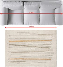 Dywan Stripes II 120x170 cm