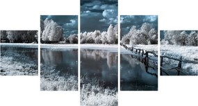 Obraz - Zamarznięty krajobraz (125x70 cm)