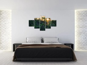 Obraz słońca przeświecającego przez gałęzie drzew (125x70 cm)