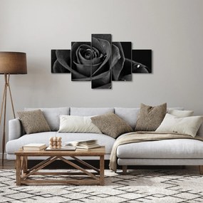 Obraz - Czerwona róża (125x70 cm)