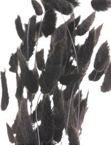 Bukiet Dmuszka 60cm dark brown