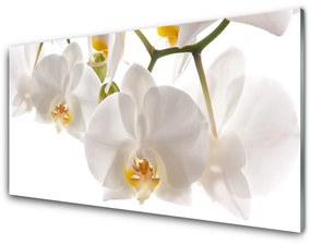 Obraz Szklany Orchidea Kwiaty Natura