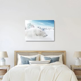 Obraz na szkle - Niedźwiedź polarny (70x50 cm)