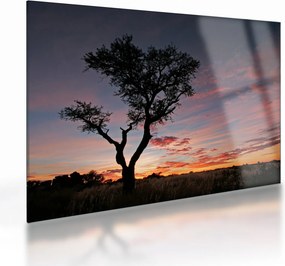 Obraz na szkle - Drzewo i czerwonawe odcienie (70x50 cm)
