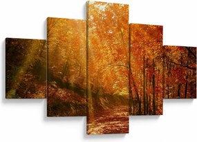 Obraz jesiennego lasu (125x70 cm)