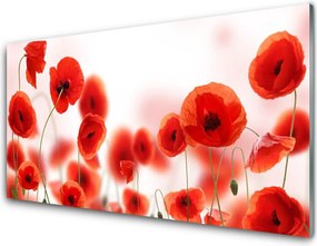 Panel Szklany do Kuchni Czerwone Maki W Polu