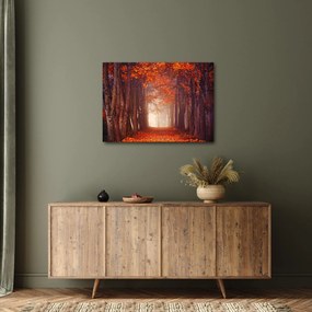 Obraz - Jesienny las (70x50 cm)