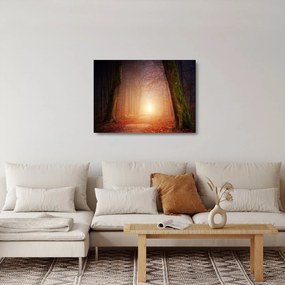Obraz na szkle - jesienny las we mgle (70x50 cm)