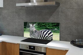 Panel szklany do Kuchni Zebra na tle Afrykańskiej Równiny