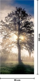 Fototapeta na drzwi - Drzewo we mgle (95x205cm)