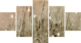 Obraz - Harmonious Meadow (125x70 cm)