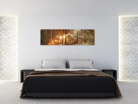 Obraz - Zaśnieżony park (170x50 cm)