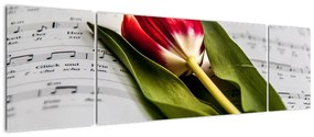 Obraz czerwonego tulipana (170x50 cm)