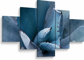 Obraz - Agawa (125x70 cm)