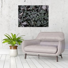 Obraz na szkle - Zamrożone rośliny (70x50 cm)