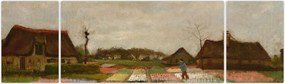 Obraz - Vincent van Gogh, Flower Beds in Holland, reprodukcje (170x50 cm)