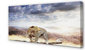 Zdjęcie na płótnie Pantera na Tle Chmur