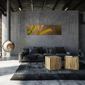 Obraz rośliny (170x50 cm)