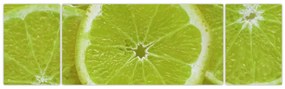 Obraz - pokrojone cytryny (170x50 cm)