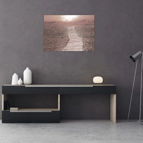 Obraz - Plaża żwirowa (70x50 cm)
