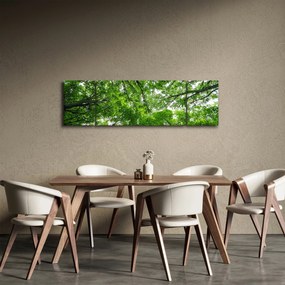 Obraz - Widok do korony drzewa (170x50 cm)