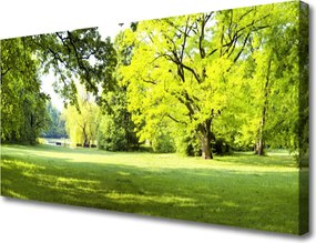 Obraz canvas Parkowa Aleja w Słońcu