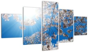 Obraz - Wiśniowe kwiaty (125x70 cm)
