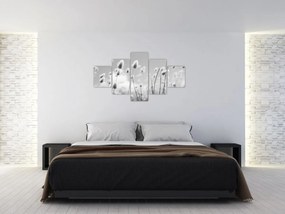 Obraz - Trawa z ogonkiem króliczka Boho (125x70 cm)