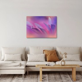Obraz - Kropla na kwiecie (70x50 cm)