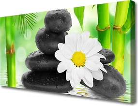 Zdjęcie na płótnie Botaniczny Portret Storczyka