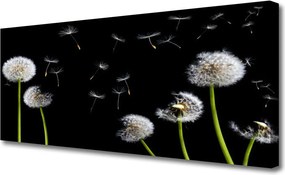 Zdjęcie na płótnie Puszysty Mniszek Lekarski