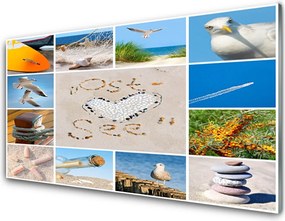 Panel Szklany Mewy Nad Brzegiem Oceanu