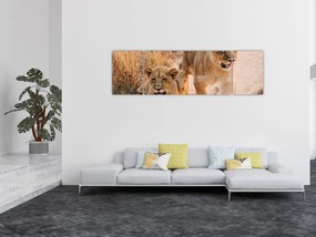Obraz - Lwiątka (170x50 cm)