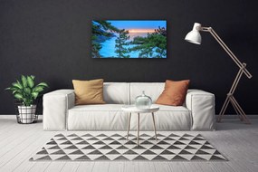 Obraz na płótnie Majestatyczne Drzewa w Lesie