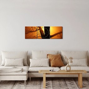 Obraz drzewa o zachodzie słońca (z zegarem) (90x30 cm)