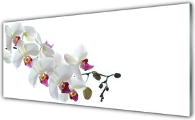 Szkło do Kuchni na Ścianę Rajski Ogród Kwiatowy