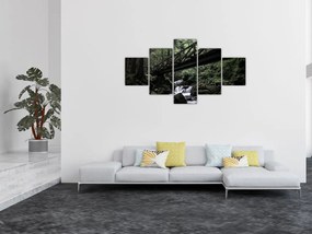 Obraz z czarnego lasu (125x70 cm)