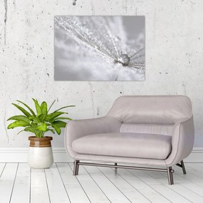 Obraz - Kropla wody (70x50 cm)