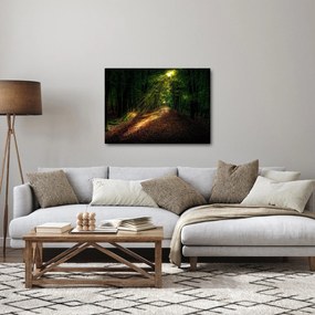 Obraz leśnej ścieżki (70x50 cm)