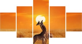 Obraz - Żyrafy w Parku Narodowym Serengeti (125x70 cm)