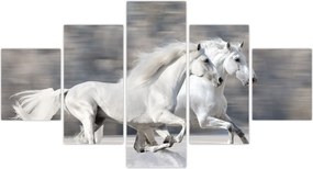 Obraz - Białe konie zimą (125x70 cm)