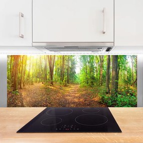 Panel Kuchenny Głusza Starego Lasu