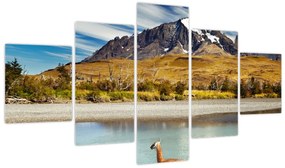 Obraz - Park Narodowy Torres del Paine (125x70 cm)