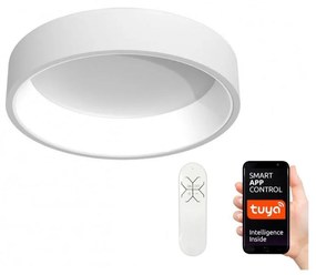 Immax NEO - LED Plafon ściemnialny AGUJERO LED/30W/230V + ZS