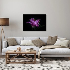 Obraz na szkle lilii (70x50 cm)