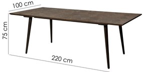 Stół w dekorze wiązu 100x220 cm Diamond – DAN-FORM Denmark
