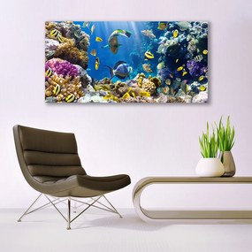 Duży obraz na płótnie Kolorowa Rafa Koralowa