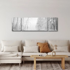 Obraz - Drewniane molo zimą (170x50 cm)