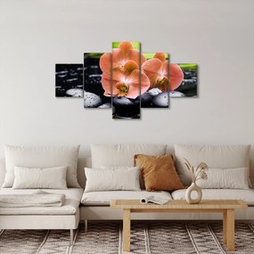 Obraz - Pomarańczowa orchidea z liśćmi palmy (125x70 cm)